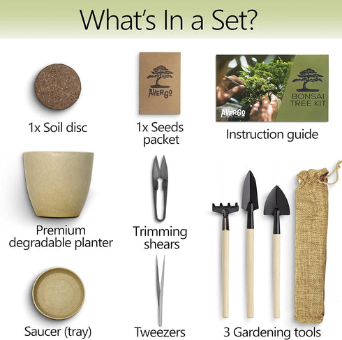 Bonsai Starter Kit – 2X Bonsai Tree | Complete Indoor Starter Kit for Growing Bonsai Plants with Tools & Planters – Gardening Gifts for Women & Me...