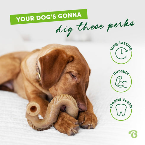 Benebone Tripe Bone Durable Dog Chew Toy for Aggressive Chewers, Real Tripe, Made in USA, Large...