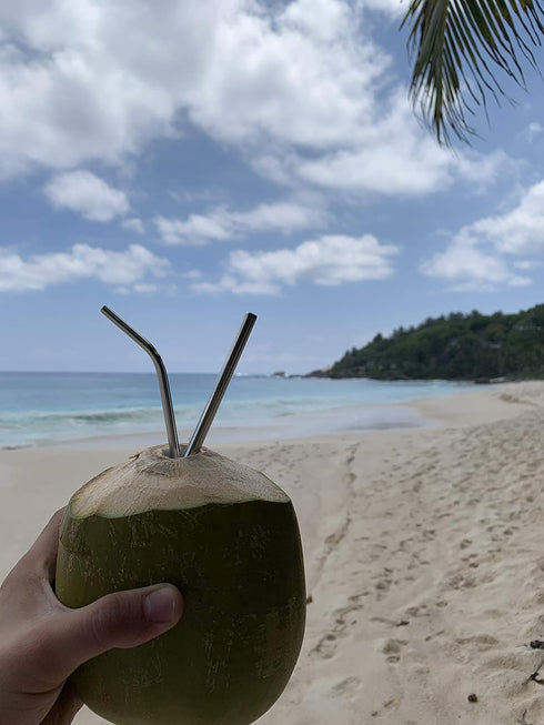 Stainless Steel Straws (Tall)...