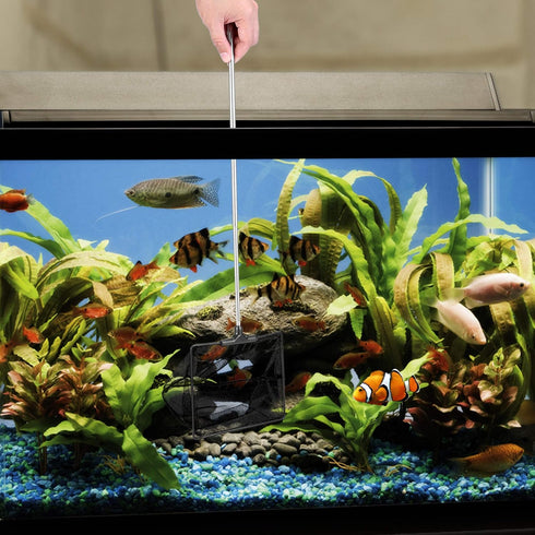 Lpraer Aquarium Fish Net 5" x 6" Fish Net with Extendable 7.4"-16.3" Telescopic Stainless Steel Long Handle Fine Mesh Fish Net for Fish Tank...