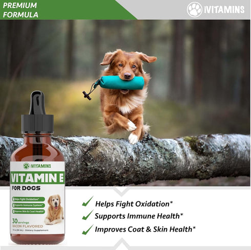 Vitamin E for Dogs | Vitamin E Dog | Vitamin E for Dog | Dog Vitamins E | Vitamin E Canine | Vitamin E Supplement for Dogs | Vitamin E Oil Dog | D...