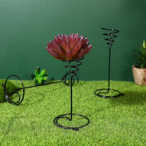 Mipcase 3pcs Flower Stand Air Plants Holders Plant Rack Large Indoor Plant Plant Display Holder House Plants Air Plant Holder Plant Holders Straig...