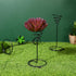 Mipcase 3pcs Flower Stand Air Plants Holders Plant Rack Large Indoor Plant Plant Display Holder House Plants Air Plant Holder Plant Holders Straig...
