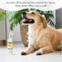 MIGHTY MUTT Waterless Paw Cleaner for Dogs, Made in USA, Easy to Use, No-rinse Foaming Cleanser with Brush, Gentle, pH Balanced, Natural, Hypoalle...