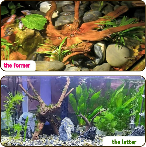 Hamiledyi Driftwood for Aquarium,Natural Spider Wood Reptile Branches Fish Tank Log Ornament Aquarium Trunk Decoration 4 Pcs?8-10inch?...