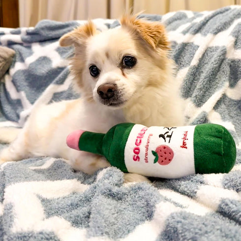 Sochew Soju Pet Toy with Squeaker (Strawberry)...
