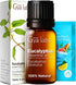 Gya Labs Eucalyptus Essential Oil for Diffuser - 0.34 Fl Oz - 100% Pure Natural Eucalyptus Oil for Skin, Humidifier, Candle Making & Aromatherapy ...