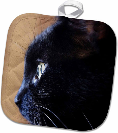 3D Rose Extreme Close-up of Black Cat Pot Holder, 8" x 8"...