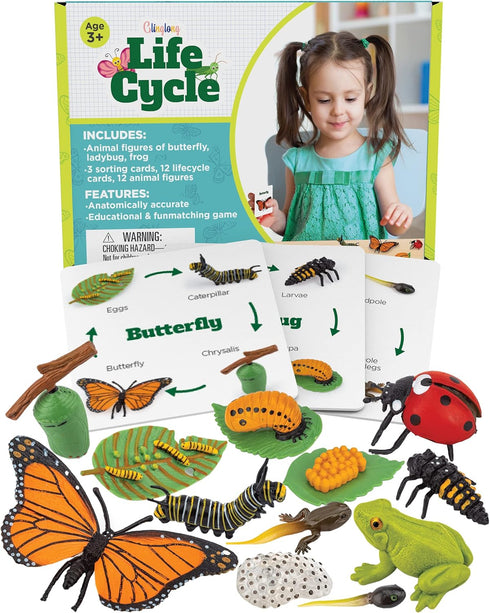 Life Cycle Kit Toy Montessori - Realistic Figurine Toys, Kids Animal Match Set with Frog, Ladybug & Butterfly - Includes 12-Piece, Stocking Stuffe...