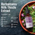HERBAMAMA Milk Thistle Liquid Drops - Organic Milk Thistle Seed Tincture - Liver Detox - Milk Thistle Liquid Extract Supplement - Alcohol-Free - 2...