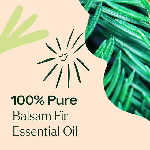 Plant Therapy Balsam Fir Essential Oil 10 mL (1/3 oz) 100% Pure, Undiluted, Therapeutic Grade...