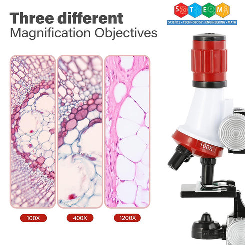 AmScope-ETXWJ04 IQCREW 100X-1200X LED Kids Beginner Microscope Toy Set + Slides Preparation Kit...