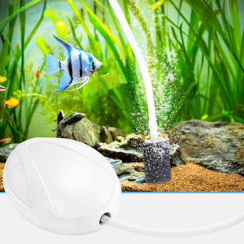 AQUANEAT Aquarium Air Pump, 20 Gallon Fish Tank Air Pump, Fish Air Bubbler, Hydroponic Oxygen Aerator, with Airline Tubing, Air Stone, Check Valve...
