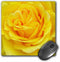 3dRose LLC 8 x 8 x 0.25 Inches Mouse Pad, Rose Yellow (mp_21383_1)...