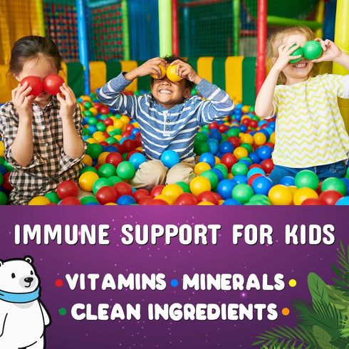 Immune Support Gummies for Kids & Toddler with Vitamin C, Zinc & Echinacea, Daily Childrens Immune Support Gummy Vitamins for Kids Ages 4 and Up, ...