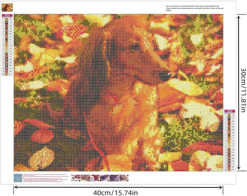 Zimal 5D DIY Diamond Painting Animal Dachshund Dog 100% Cover Round Diamond Embroidery Cross Stitch Paintings by Number 11.8 x 15.8 Inch...