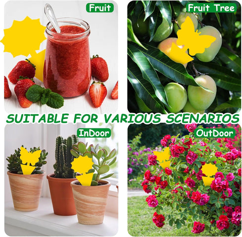 Fruit-Fly Sticky-Trap 52pc Mosquito-Repellent Insect Killer Outdoor Indoor Sticky Bug-Catcher for Wasp Mosquito Ant Gnat Fungus Gnat Roach Whitefl...