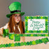 67.9 Feet St Patricks Day Bulletin Board Decorations Green Bulletin Board Border Rolled Lucky Clover Bulletin Board Trim for Classroom Office Bull...