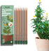 Sprout Wood-Cased Pencils | Original Edition | HB Pre-Sharpened Graphite Plantable Wooden Pencils with Flower, Herb & Vegetable Seeds |Gift Ideal ...