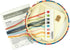 Dimensions Tea Time Counted Cross Stitch Kit for Beginners, 6" Diameter, 6 Piece...