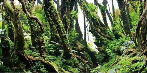 AWERT 36x24 inches Tree Branches Aquarium Background Green Algae Aquarium Background River Bed & Lake Fish Tank Background Vinyl Background...