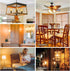 G25 LED Edison Vanity Globe Light Bulbs, LED Filament Light Bulb, 6W Equivalent to 60W, G80 Dimmable 600LM E26 Medium Base, Bathroom Vanity Mirror...