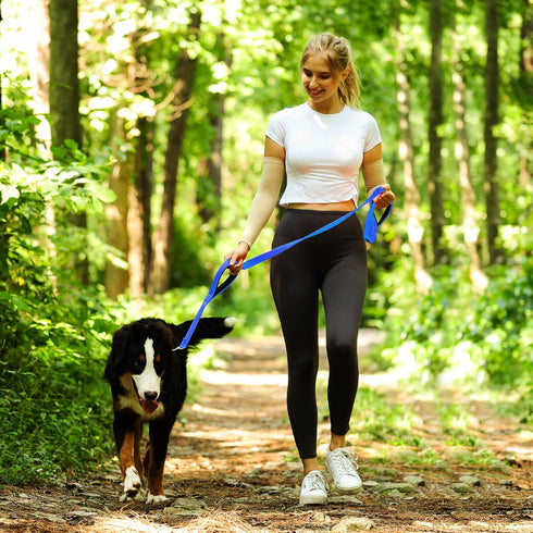 VIVAGLORY Traffic Handle Dog Leash, Two Padded Soft Handles Dog Leash, Strong Reflective & Metal Hook Training Dog Lead, Blue...