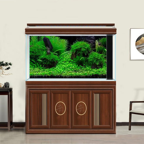 Terrarium Background Green Planted Tropical Freshwater Aquarium Background Aquatic Plants Roots Stones with Moss Aquarium Backdrop Perfect Fish Ta...