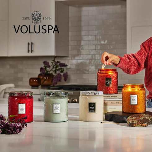 Voluspa Goji Tarocco Orange, Petite Candle Jar, 3.2 oz, 25 Hour Burn Time, Coconut Wax for Clean Burning, Handcrafted in the USA...