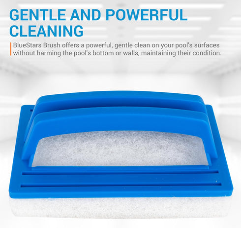 BlueStars Heavy Duty Hand-Held Sponge Swimming Pool Scrub Brush - Pool Supply Hand-Held Scrub Brush - for Pool Tile & Grout, Walls, Vinyl Liners, ...