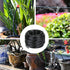 Hourleey 50 Feet Blank Distribution Tubing Irrigation Drip Hose, 1/4 Inch Drip Line...