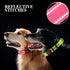2 Pack Reflective Dog Collar for Small Dogs Girl Boys,Nylon Durable Soft Padded Neoprene Male Female Dog Collars for Medium Puppy Extra Large Dogs...