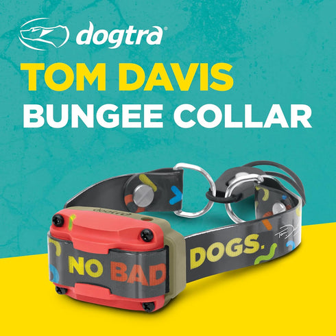 Dogtra Tom Davis Bungee Collar Comfortable Easy Fit Compatible with Tom Davis Edition 280C Dog Training E-Collar 3/4" Inch Strap Receivers...