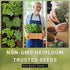 Sow Right Seeds - Rosemary Seed for Planting - Non-GMO Heirloom Packet with Instructions to Plant and Grow a Kitchen Herb Garden - Indoors or Outd...
