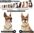Chain Dog Collar 18K Gold Cuban Link Dog Chain 15MM 10MM Thick Chain Collar Metal Stainless Steel Heavy Duty Slip Dog Collars for Small Dogs (14",...