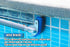 Pool Cleaning Kit for Concrete and Gunite Pools, Includes (1 Pumice Stone), (1 Stainless Steel Brush)...