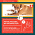 Split Medium Elk Antler for Dogs - Dog Antler Chews for Medium Breeds - Natural, Long-Lasting Treats for Aggressive Chewers - Naturally Shed in US...