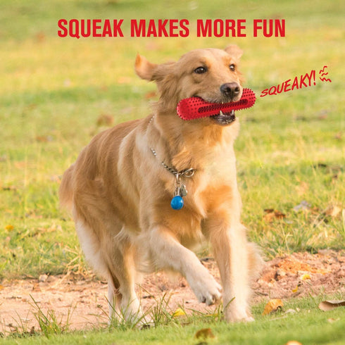 petizer Dog Squeaky Toys for Aggressive Chewers, Tough Toothbrush Dog Chew Toy, Nearly Indestructible Rubber Toys for Pet Training, Teeth Cleaning...