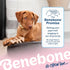 Benebone Puppy Fishbone Dog Chew Toys, Softer for Modest Chewers, Made in USA...