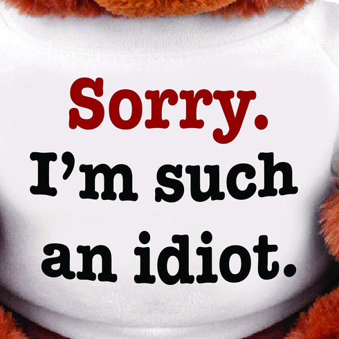 "SORRY I'M SUCH AN IDIOT" 13" Inch Teddy Bear - Cute And Cuddly : Funny Teddy Bear Couple Gift : Romantic Cute Teddy Bear Stuffed Animal...