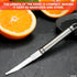 Grapefruit Knife Curved Serrated Blade Knife - Fruit Slicer Cutter small Serrated Knife Kitchen Curved Grapefruit Knife Orange Slicer Cutter - Fru...