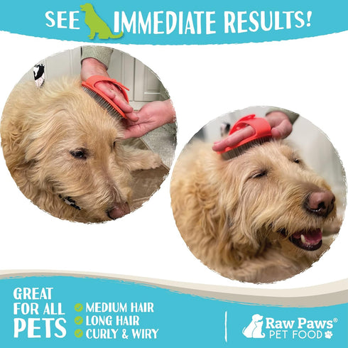 Raw Paws Grooming Brush, 1 ct - Hand-Held Rubber Tipped Pin Brush for Dogs & Cats - Dog Pin Brush - Dog Brush for Shedding - Bath Brush for Dogs w...