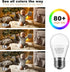 25 Watt Equivalent Light Bulbs, A15 LED Bulb 3W E26 Base 2700K Warm White Low watt Light Bulbs,Nightstand Light Bulb, Table Lamp Bulb...