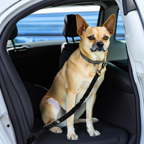 PawSafe Dog Car Seatbelt - Retractable, Adjustable, Elastic, Heavy Duty & Durable Car Seatbelt for Pets - 2 Belts & 1 Compact Travel Bowl Combo (B...