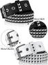 2 Pieces Studded Belt Punk Rock Rivet Belt Metal Pyramid Pu Leather Belt EMO Belt for Women Men...