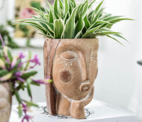Head Planters for Indoor Plants, Face Flower Pot Head Planter Succulent Planters Unique Face Planter with Drainage Hole - Rustic Thinking Girl Clo...