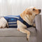 Dog Anxiety Vest, Comfort Dog Anxiety Relief Jacket, Breathable Shirts for Dogs, Soft Dog Anxiety Coat Vest, Puppy Anxiety Warp Calming Shirt for ...