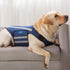 Dog Anxiety Vest, Comfort Dog Anxiety Relief Jacket, Breathable Shirts for Dogs, Soft Dog Anxiety Coat Vest, Puppy Anxiety Warp Calming Shirt for ...