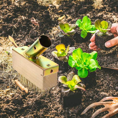 Weeding Wire Brush with Scraper Tools, Moss Removal Deck Crevice Cleaning Tool, Weed and Moss Remover Brush for Cleaning Paving Joints, Pavers, Si...