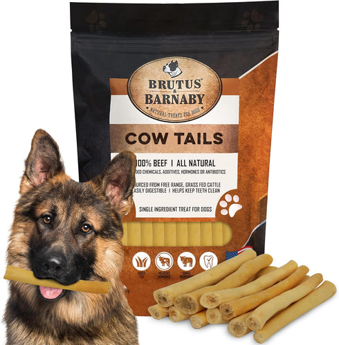 BRUTUS & BARNABY 100% Natural Cow Tails Dog Treat - Our Healthy Cow Tails for Dogs are Easy to Digest, Chemical & Hormone Free - Thick & Hearty Ch...